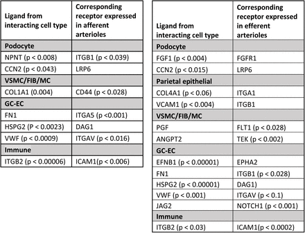 Table 1: