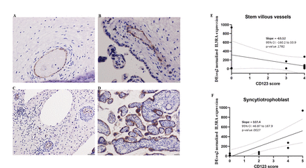 Figure 5: