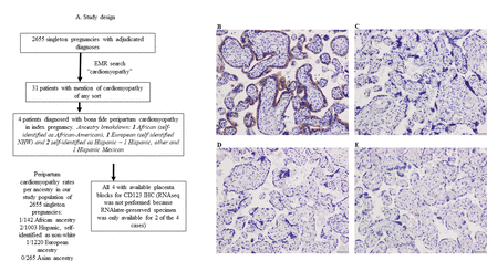 Figure 6: