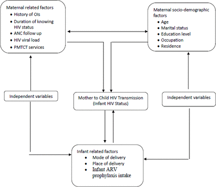 Figure 1: