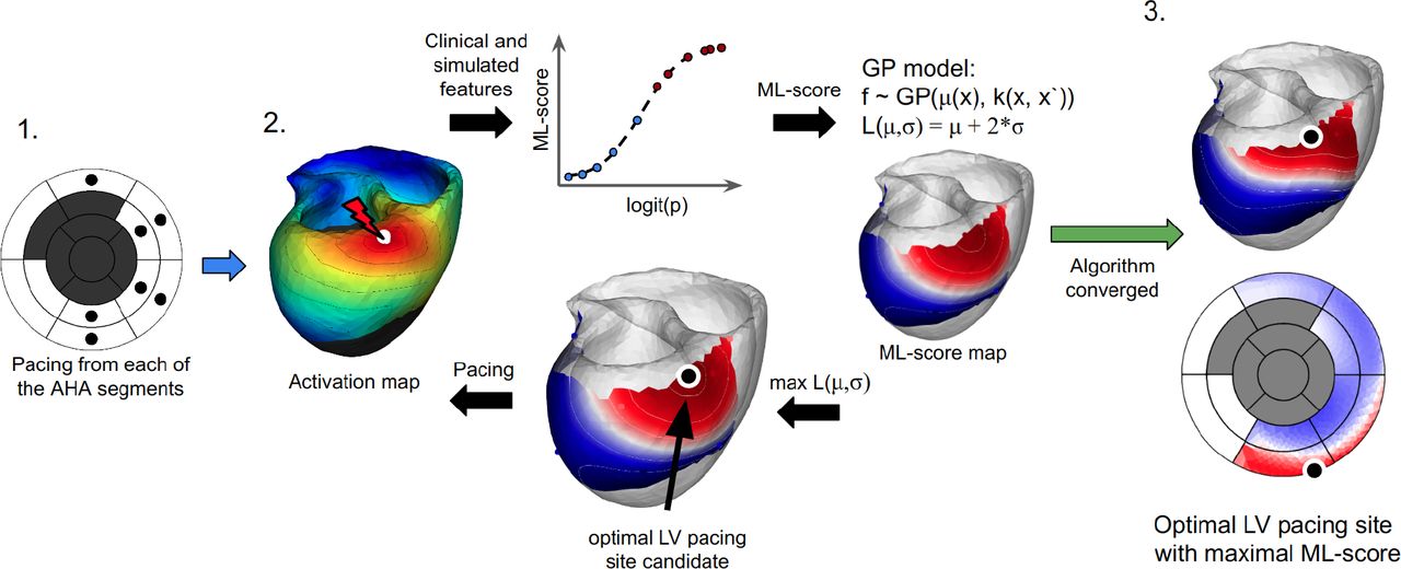 Frontiers  Prediction of Cardiac Mechanical Performance From Electrical  Features During Ventricular Tachyarrhythmia Simulation Using Machine  Learning Algorithms