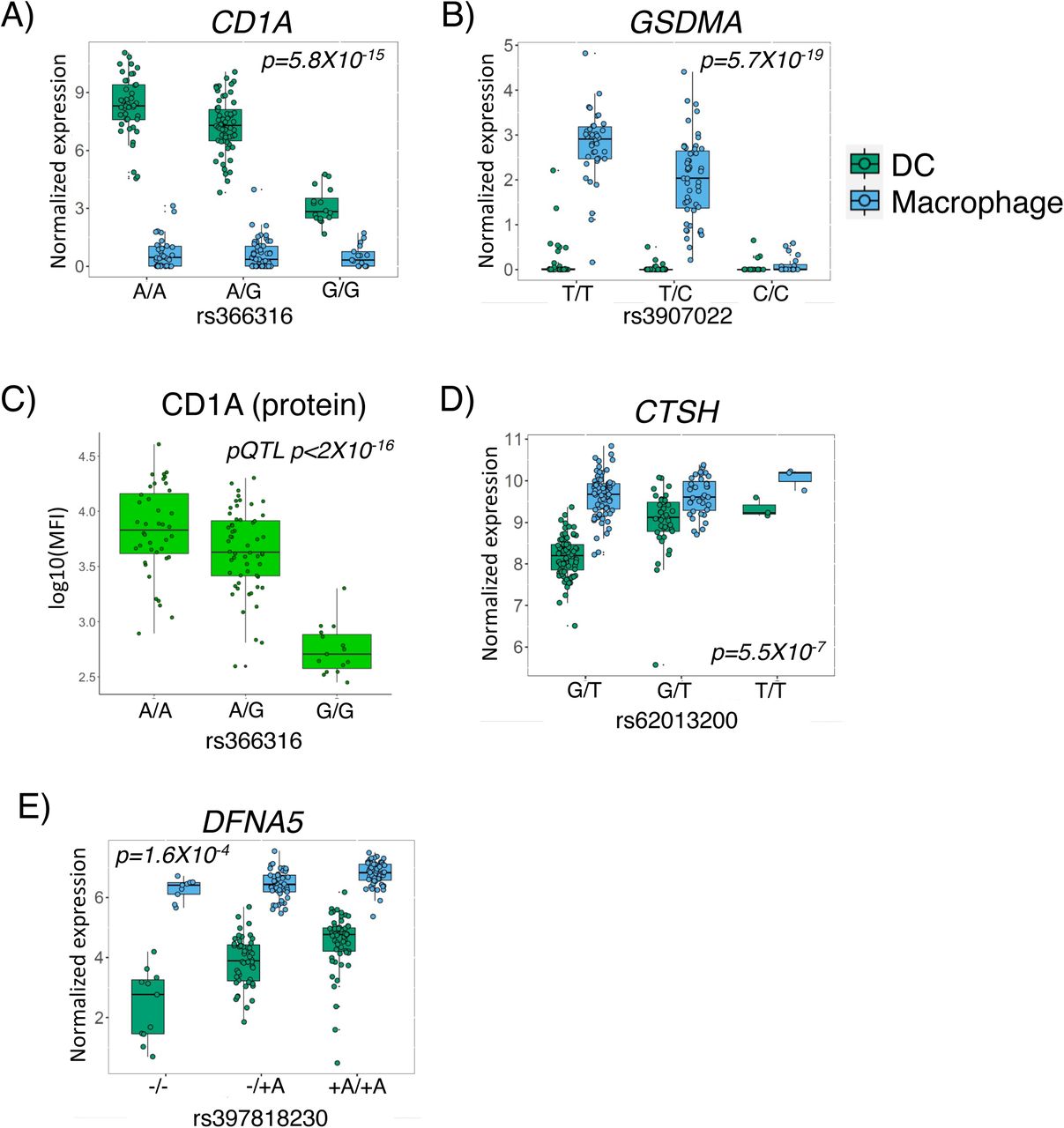 Immune disease risk variants regulate gene expression dynamics