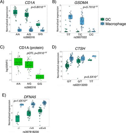 Figure 2: