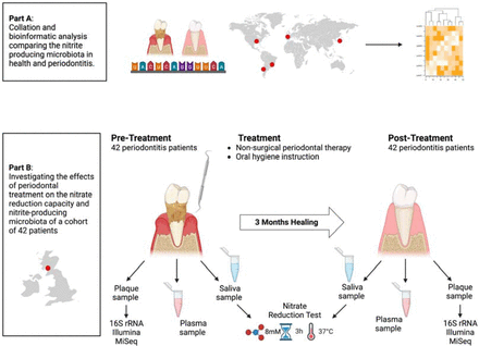 Figure 1: