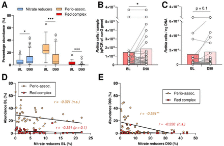 Figure 3: