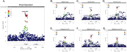 Figure 4: