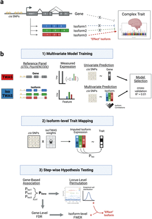 Figure 1: