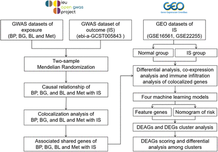 FIGURE 1