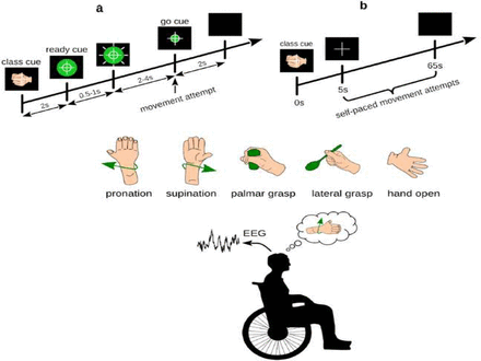 Figure 2: