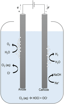 Fig 1.