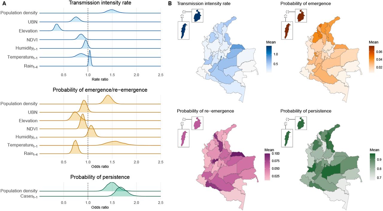 Zika Virus Disease and Pregnancy Outcomes in Colombia