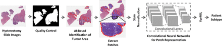 Fig. 1: