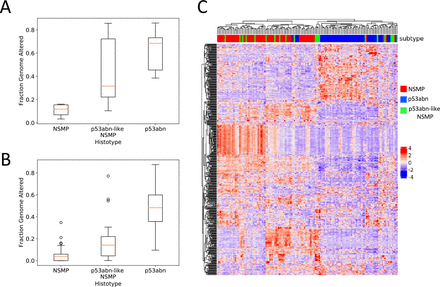 Fig. 4: