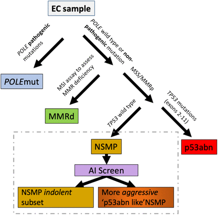 Fig. 5: