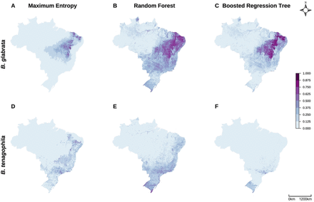 Fig 2: