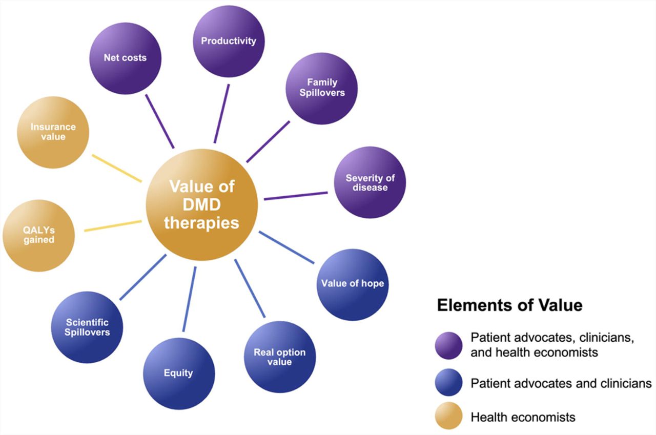 Healthcare Stakeholder Perspectives on a Value Assessment Approach for  Duchenne Muscular Dystrophy Therapies | medRxiv