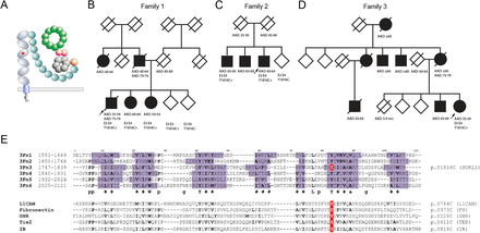 FIGURE 1: