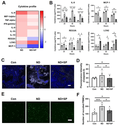 Figure 4: