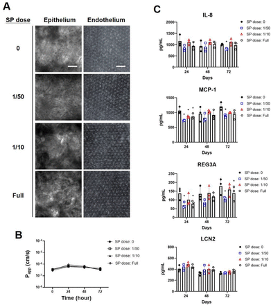 Supplementary Figure 2: