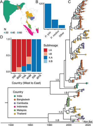 Figure 1: