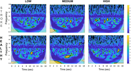 Fig. 3.