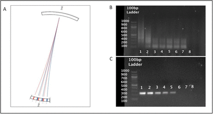 Fig 1: