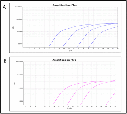 Fig 2: