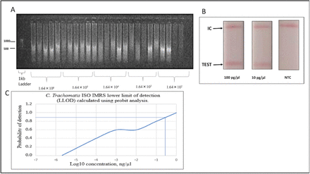 Fig 4: