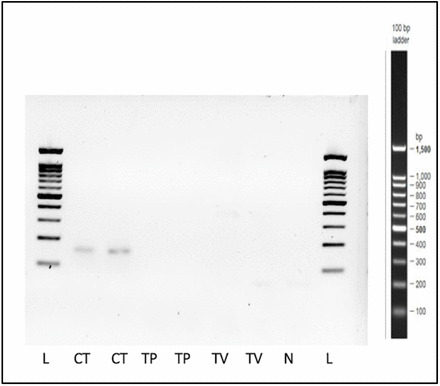 Fig 7: