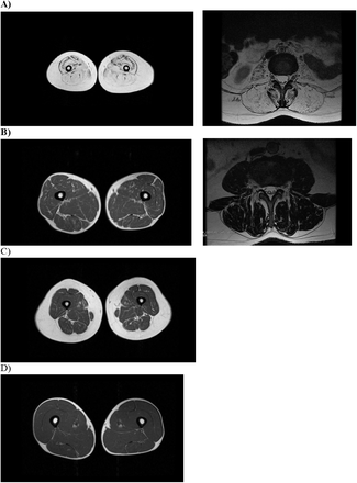 Fig. 2: