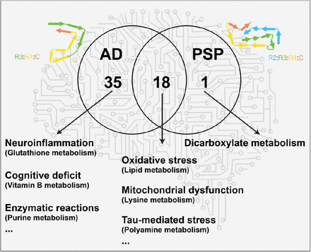 Figure 4: