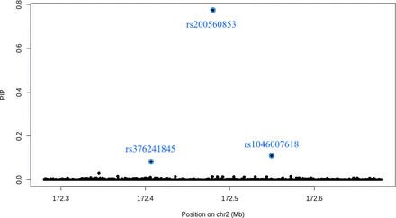 Figure 2b: