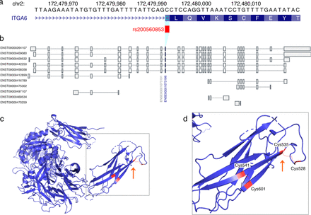 Figure 4: