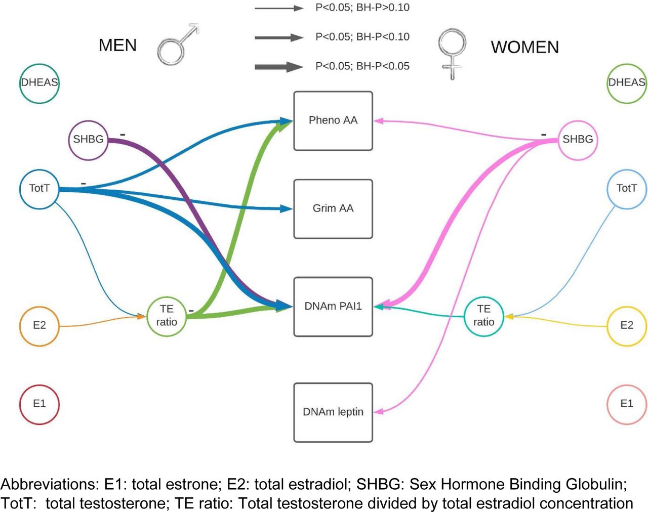 Higher testosterone and testosterone/estradiol ratio in men are associated  with better epigenetic estimators of mortality risk | medRxiv