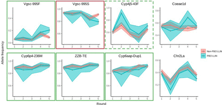 Figure. 3: