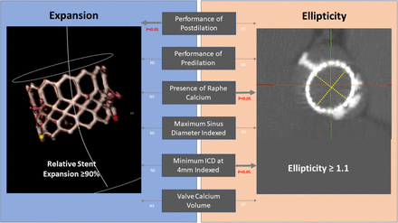 Graphical abstract