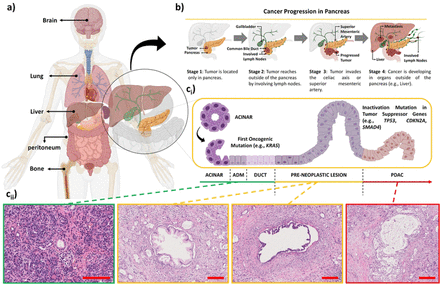 Fig 1.