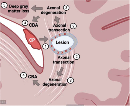 Fig. 6.