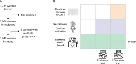 Figure 1: