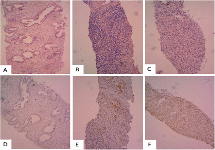 Figure 2: