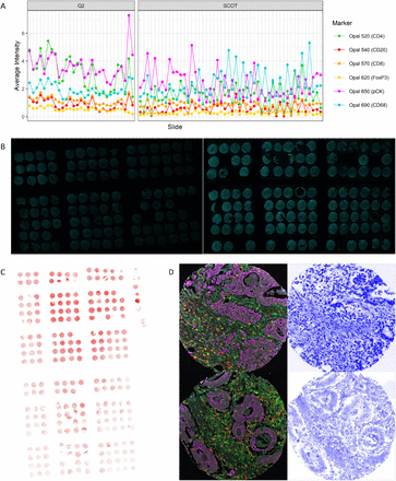 Figure 2: