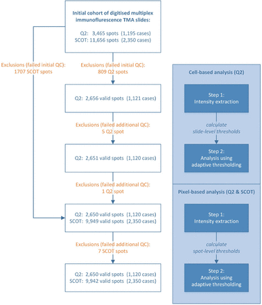 Figure 3: