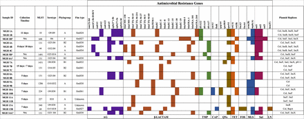 Figure 1: