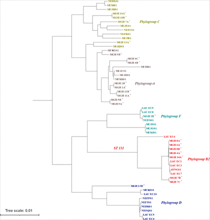 Figure 2: