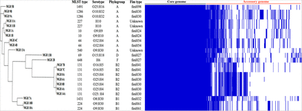 Figure 3: