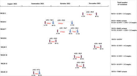 Figure 4: