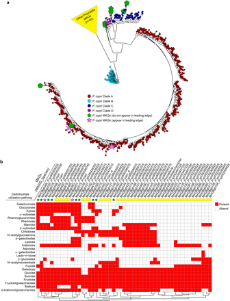 Extended Data Fig. 7.