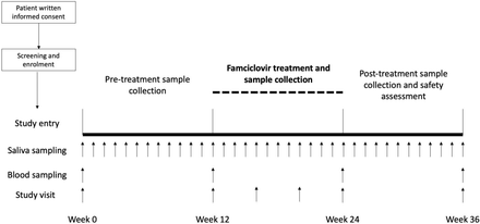 Figure 1: