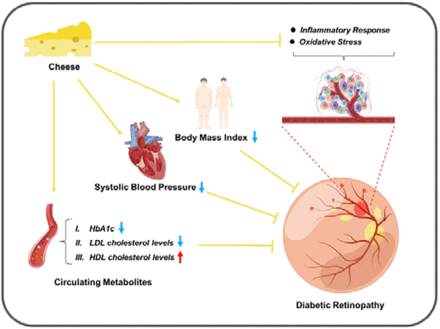 Fig 4.