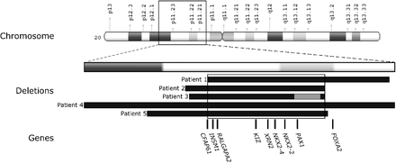 Figure 1: